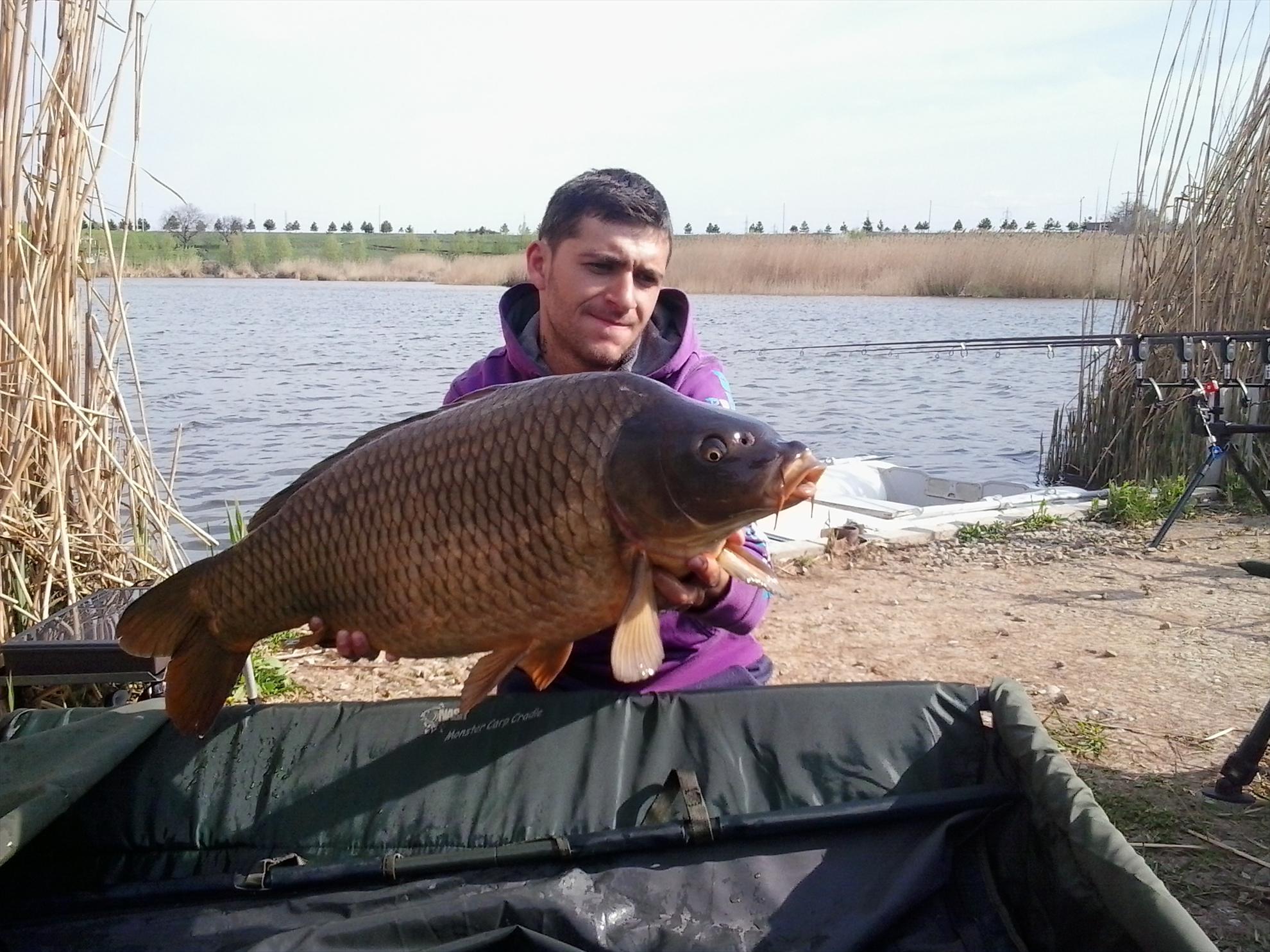 Poze Tancabesti-Dr. Bradu 20-21.04.2013 - 2013-04-20-163004.jpg